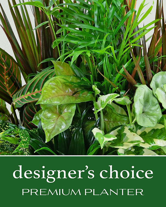 Designer\'s Choice Premium Planter