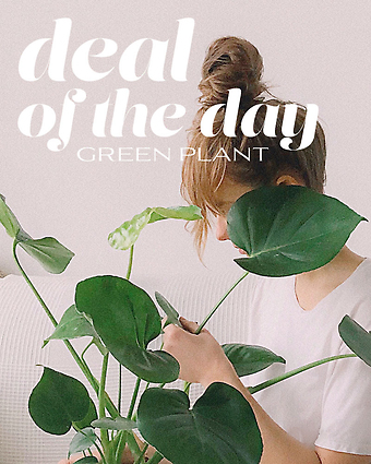 Green Plant Deal of the Day