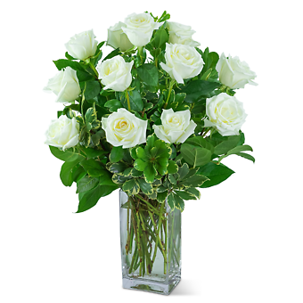 White Roses (12)