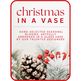 Designer\'s Choice Christmas Vase Arrangement
