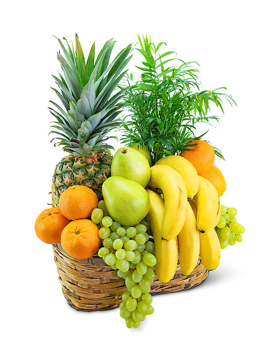 Green Goodness Fruit & Plant Basket