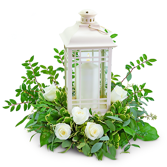 Classic White Rose Lantern